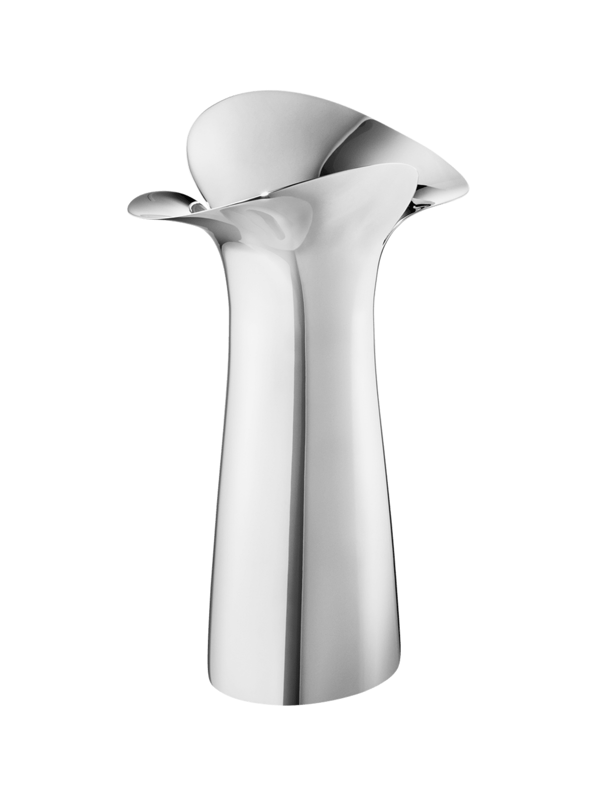 Bloom — Ваза Botanica