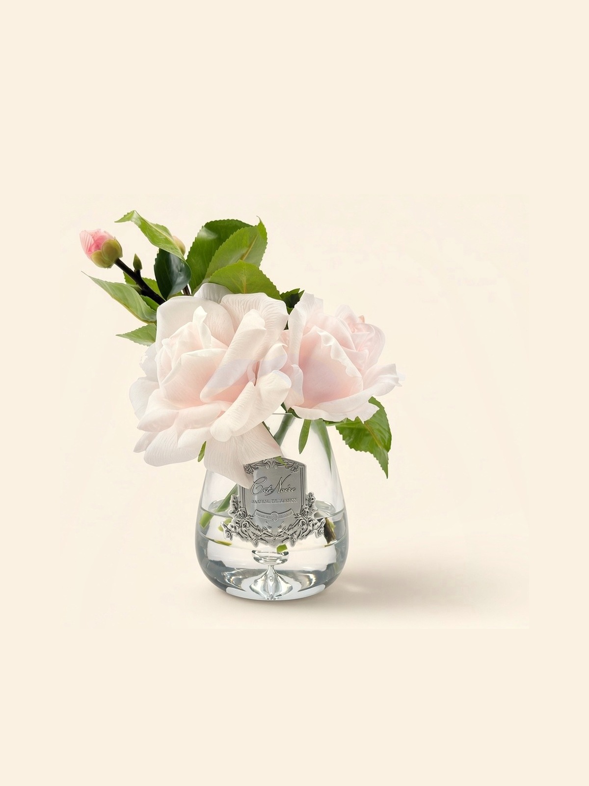 Tea Roses — французский розовый